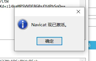 Navicat 激活成功界面截图